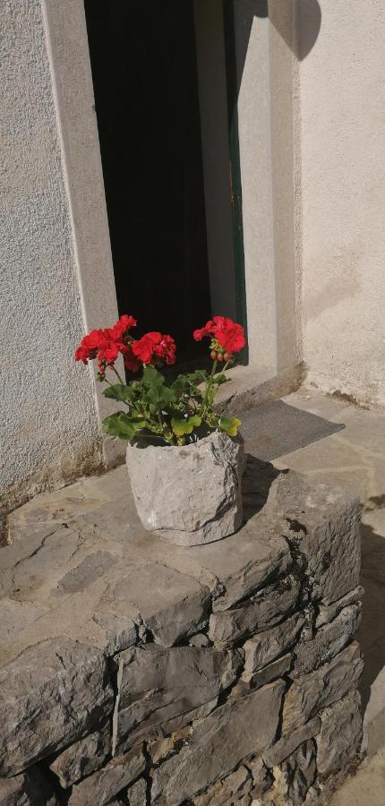 Hostel Skrla Divaca Bagian luar foto